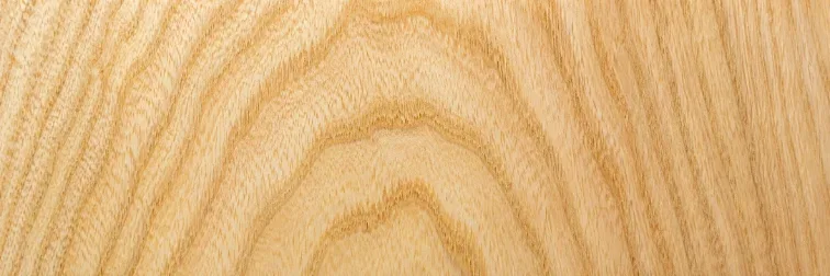macro: ash grain
