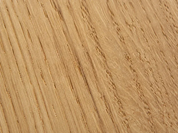 macro: white oak grain